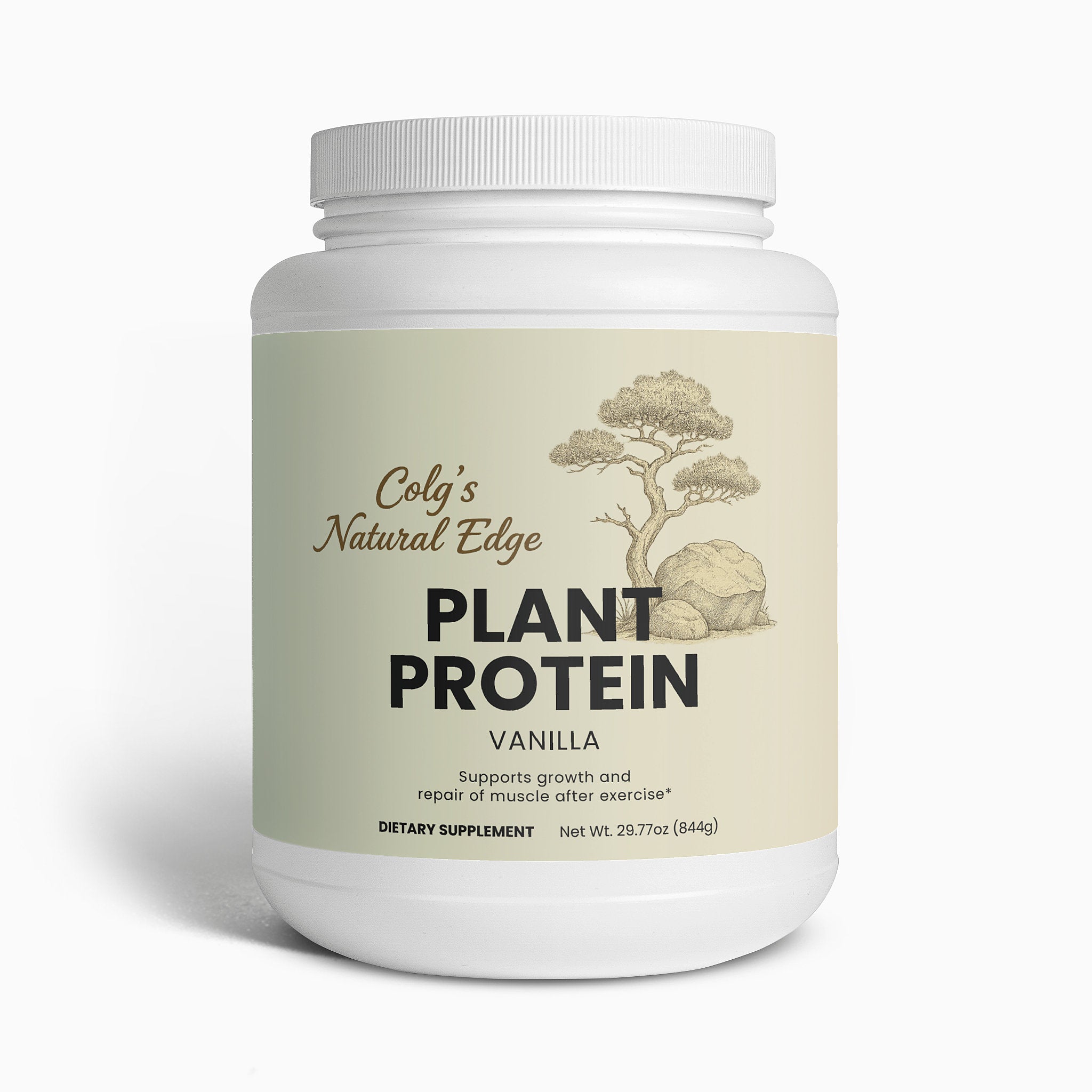 Plant Protein (Vanilla)